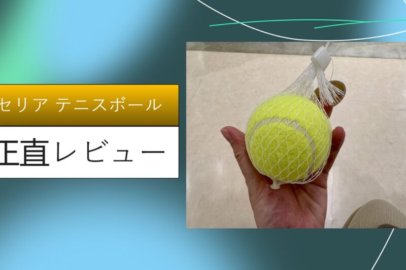 【2026年最新】セリアのテニスボールがマッサージに最高すぎる！腰痛・肩こり解消への1ヶ月ガチ使用レポ