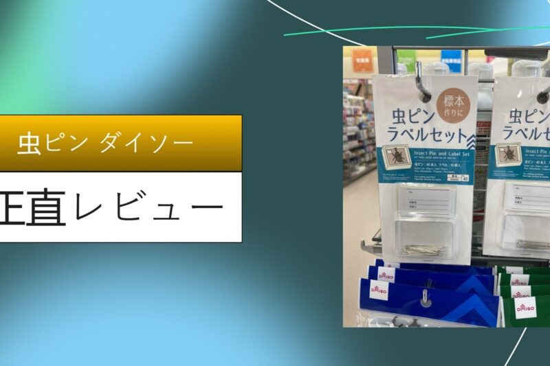 【実録】ダイソーの虫ピンは賃貸の救世主！壁の穴が消える？セリア比較と15の活用アイデアを徹底レビュー