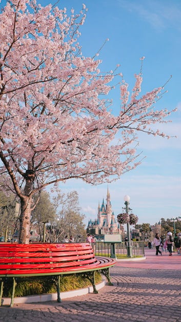 ディズニー 持ち込み禁止, ディズニー 持ち込み禁止 お菓子, ディズニー 持ち込み禁止 飲み物, ディズニー 持ち込みお菓子, ディズニー 持ち込み禁止 スプレー, ディズニー 持ち込み おにぎり, ディズニー 持ち込み禁止自撮り棒, ディズニー 持ち込み禁止 椅子