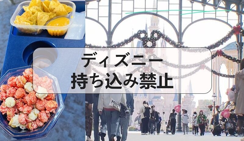 ディズニー 持ち込み禁止, ディズニー 持ち込み禁止 お菓子, ディズニー 持ち込み禁止 飲み物, ディズニー 持ち込みお菓子, ディズニー 持ち込み禁止 スプレー, ディズニー 持ち込み おにぎり, ディズニー 持ち込み禁止自撮り棒, ディズニー 持ち込み禁止 椅子