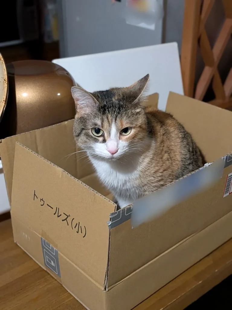 引っ越し用ダンボールとして使える?